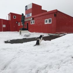 Chinese Exploitation of Natural Resources in Antarctica is Worrying