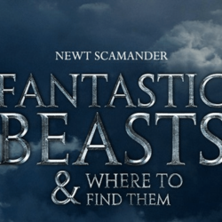 Fantastic Beasts and Where to Find Them Wallpapers Image Photos