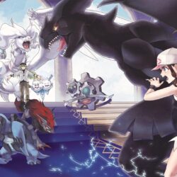 archeops, carracosta, klinklang, n, reshiram, and others