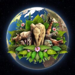 Best Holidays Wallpaper: Earth Day, 442484, Holidays
