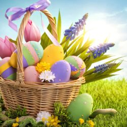 Colorful Easter eggs Wallpapers #