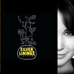 Silver Linings Playbook Wallpapers