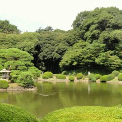 File:Shinjuku Gyoen National Garden