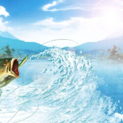 Hooked Again Real Motion Fishing wallpapers