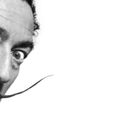 salvador dali wallpapers 28/38