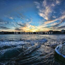 bondi beach nature beaches