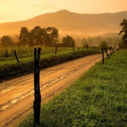Nature: Sparks Lane At Sunset Cades Cove Great Smoky Mountains