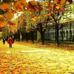 Autumn In France wallpapers