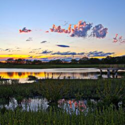 Wetlands, Lawrence, Kansas ❤ 4K HD Desktop Wallpapers for 4K Ultra