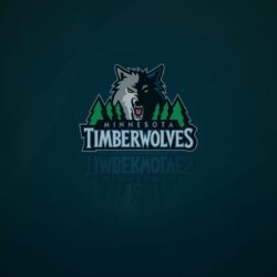 Minnesota Timberwolves logo, logotype. All logos, emblems, brands