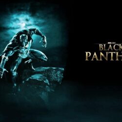 Black Panther Hd