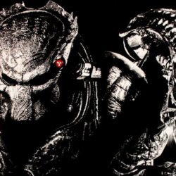 Alien vs Predator wallpapers 1