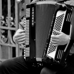 Engaging Accordion Photos