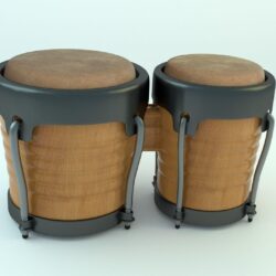 Bongo Drums 3D