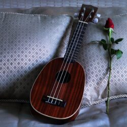 ukulele rose pillows love song HD wallpapers