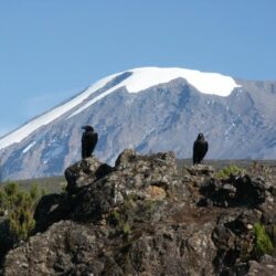 The snows of Kilimanjaro, and why seeing is believing – Mark Horrell