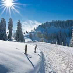Winter Wallpapers For Android Phones 204 Hd Wallpapers