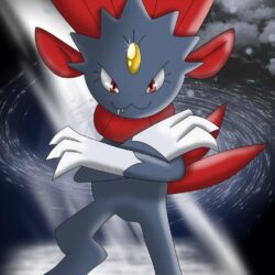 Sneasel And Weavile Club image Weavile HD wallpapers and backgrounds