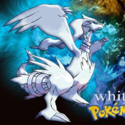 V.257: Reshiram Wallpapers, HD Image of Reshiram, Ultra HD 4K