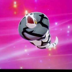 Shiny Silicobra evolving to Sandaconda : PokemonSwordAndShield