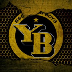 BSC Young Boys Wallpapers 11