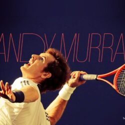 Andy Murray Wallpapers