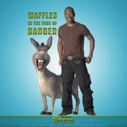 Eddie Murphy as Donkey, Shrek Forever After ❤ 4K HD Desktop