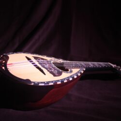 brown and tan wooden saz free image