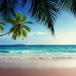 Emerald sea paradise sunshine beach sky tropical blue coast