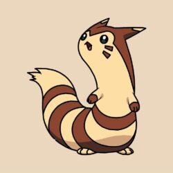 Pokemon Furret