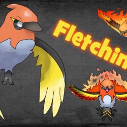 NU] Special Defensive Fletchinder :: Pokemon Showdown