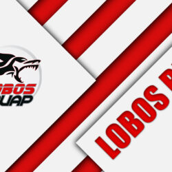 Download wallpapers Lobos BUAP, 4k, Mexican Football Club, material