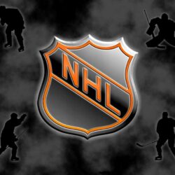 Up to Date with NHL Hockey Feeds