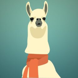 A llama wearing a scarf [] : wallpapers