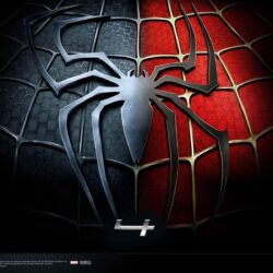 Spiderman White HD desktop wallpapers : High Definition : Mobile 1600