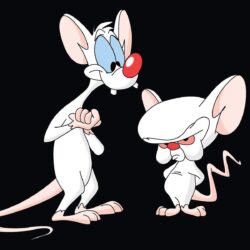 12 Pinky And The Brain HD Wallpapers