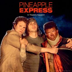 Seth Rogen image Pineapple Express Wallpapers HD wallpapers and