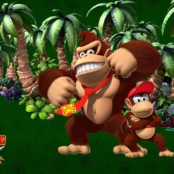 Donkey Kong Country Returns Full HD Dekstop Wa Wallpapers