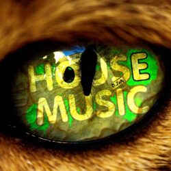 Music House Wallpaper Backgrounds 1 HD Wallpapers