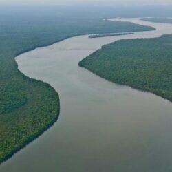Amazon River South America wallpapers