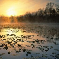 Nature: Cuyahoga Valley National Recreation Area At Sunrise, Ohio