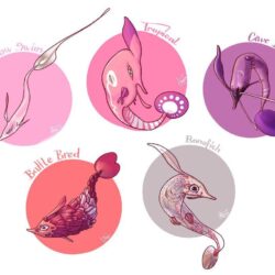 Gorebyss Variations by MadCookiefighter