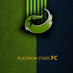 Download wallpapers Platinum Stars FC, 4k, leather texture, logo