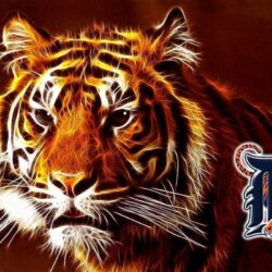 Widescreen Of Detroit Tigers Schedule Wallpapers Hd Pics Mobile