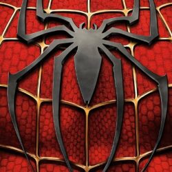 Animals For > Spider Man Image Hd