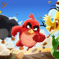 Angry Birds Wallpapers Image Photos Pictures Backgrounds