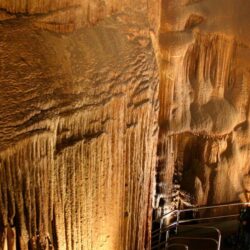 Mammoth Cave National Park Pictures: View Photos & Image of