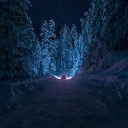 Driving Through The Snowy Forest HD Aesthetic Wallpapers Free