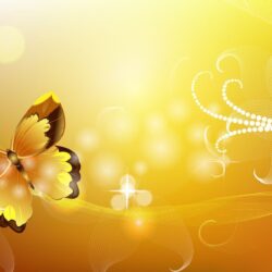 Butterfly Wallpapers 42