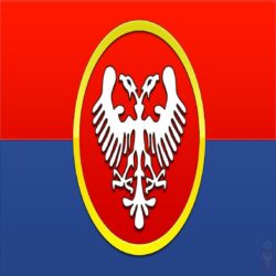 Medieval Serbian flag